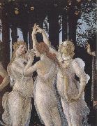Sandro Botticelli La Primavera (mk39) oil painting